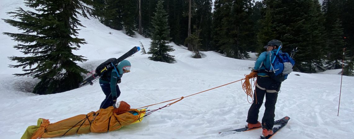 Ian's Sled Slaves pulling for freedom