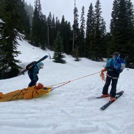 Ian's Sled Slaves pulling for freedom